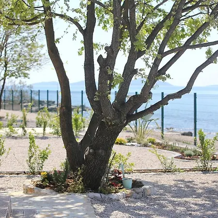 Mobile Frangipani 3 Nyaraló Biograd na Moru