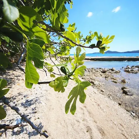 度假居 Mobile Frangipani 3 比奥格勒·纳·莫鲁