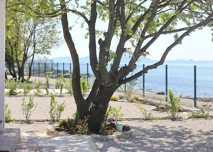 Mobile Frangipani 3 בית נופש ביוגראד נה מורו